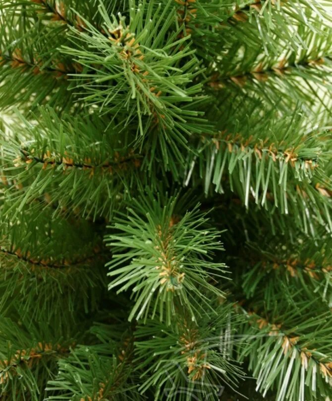 Lofans ель. Ель искусственная сказка. Искусственная елка с литыми иголками. Ели пвх. Ели пвх.