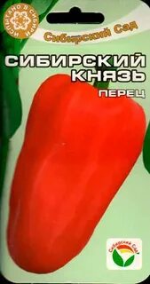 Кун князь сибирский 4