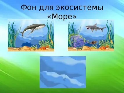Роль морских экосистем