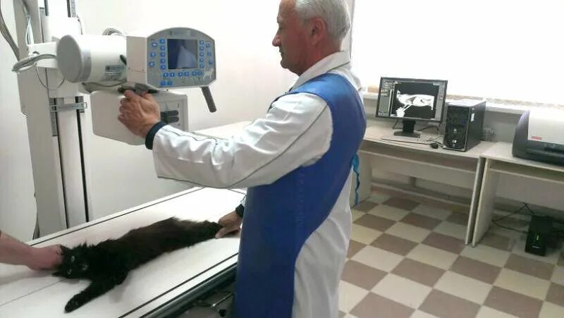 врач ссср. вет лазарет. зоозащита вет госпиталь. вет лазарет. ветеринар асбест.