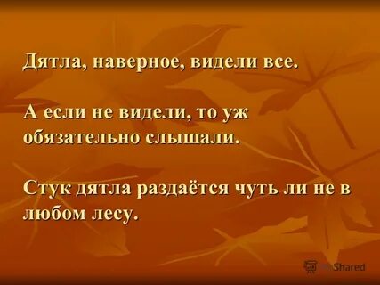 Далеко в лесу раздавались