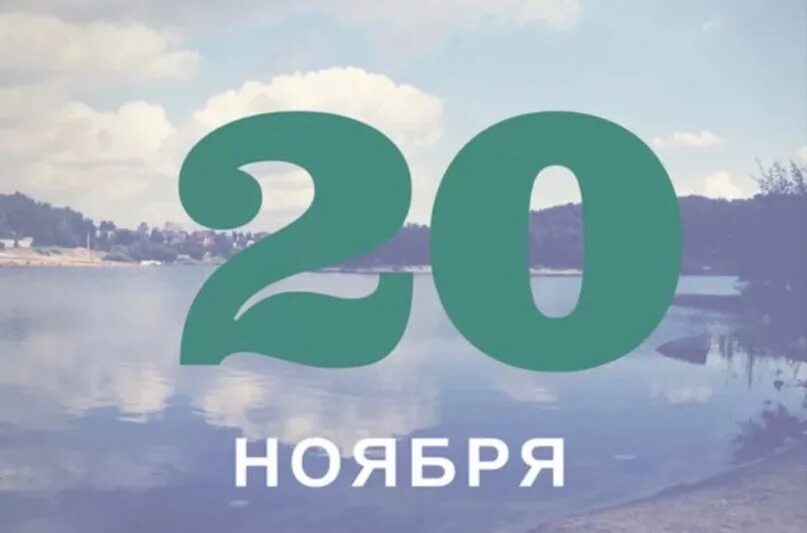 20 23 ноября