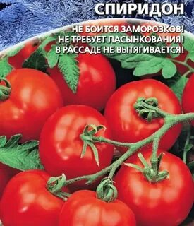 Грунтовые помидоры