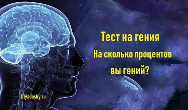 Теста на гения. Тест на гения. Тест на гениальность. Тест на гения в картинках. Тест на гениальность по картинке.