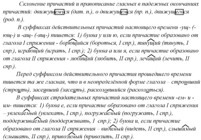 Вспомните виды орфограмм изученных. Вспомните виды орфограмм изученных