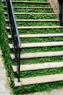 Step came