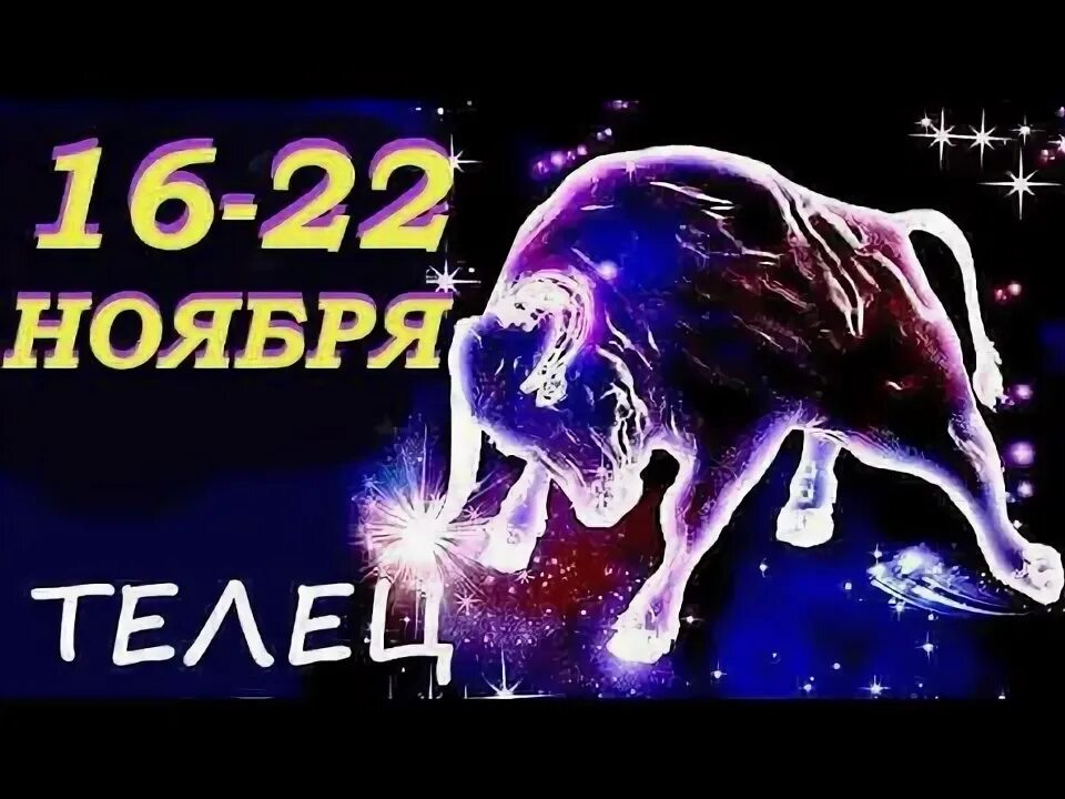 5 ноября телец