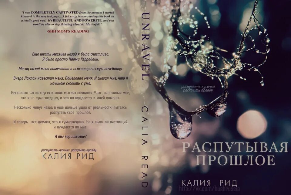 Боги египта книга. Книги по криптозоологии. Александр волков разгадка тайны. Разгадка тайн. Книга разгадка сознания.