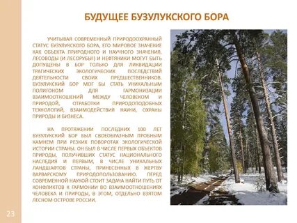 Рассказ бора