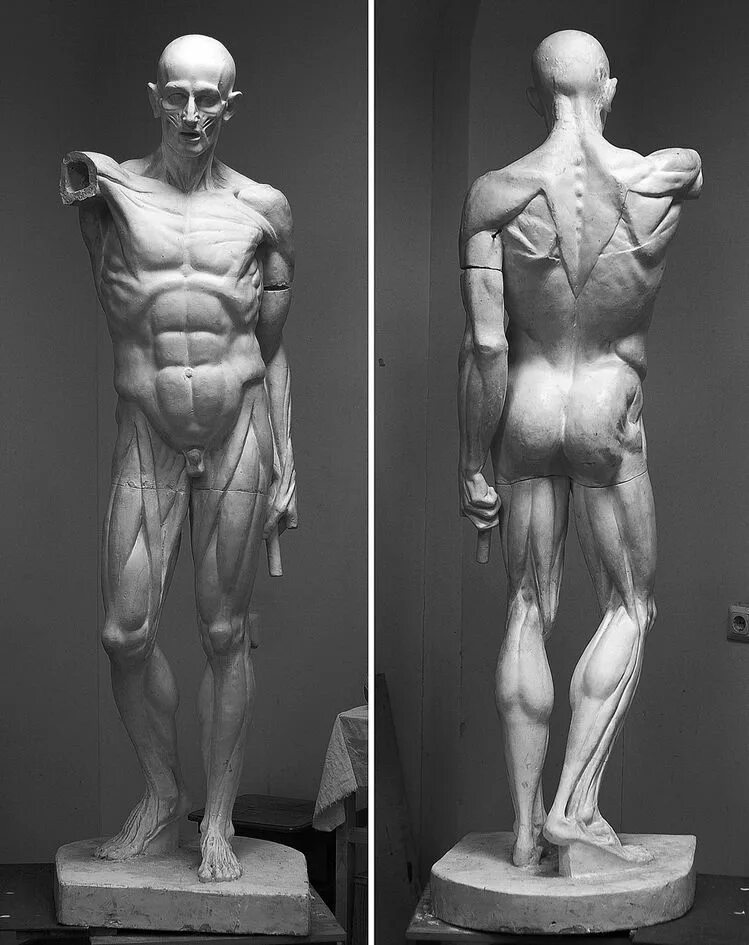 Дискобол. Скульптура изображение человека. Скульптура мирона дискобол рисунок. Скульптура дискобол автор мирон. Скульптура изображение человека.