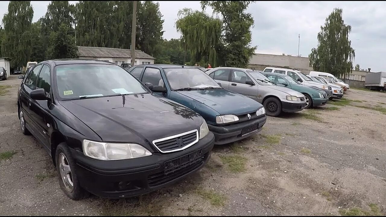 Конфискат авто в минске. Автоконфискат в минске фото. Автоконфискаты беларуси. Конфискат авто. Торговый дом восточный конфискат автомобилей.