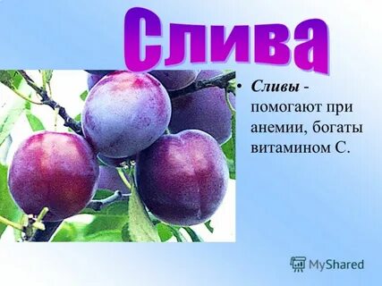 Чем помогает слива