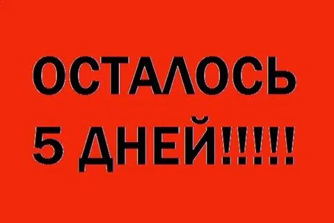 От 3 до 5 дней