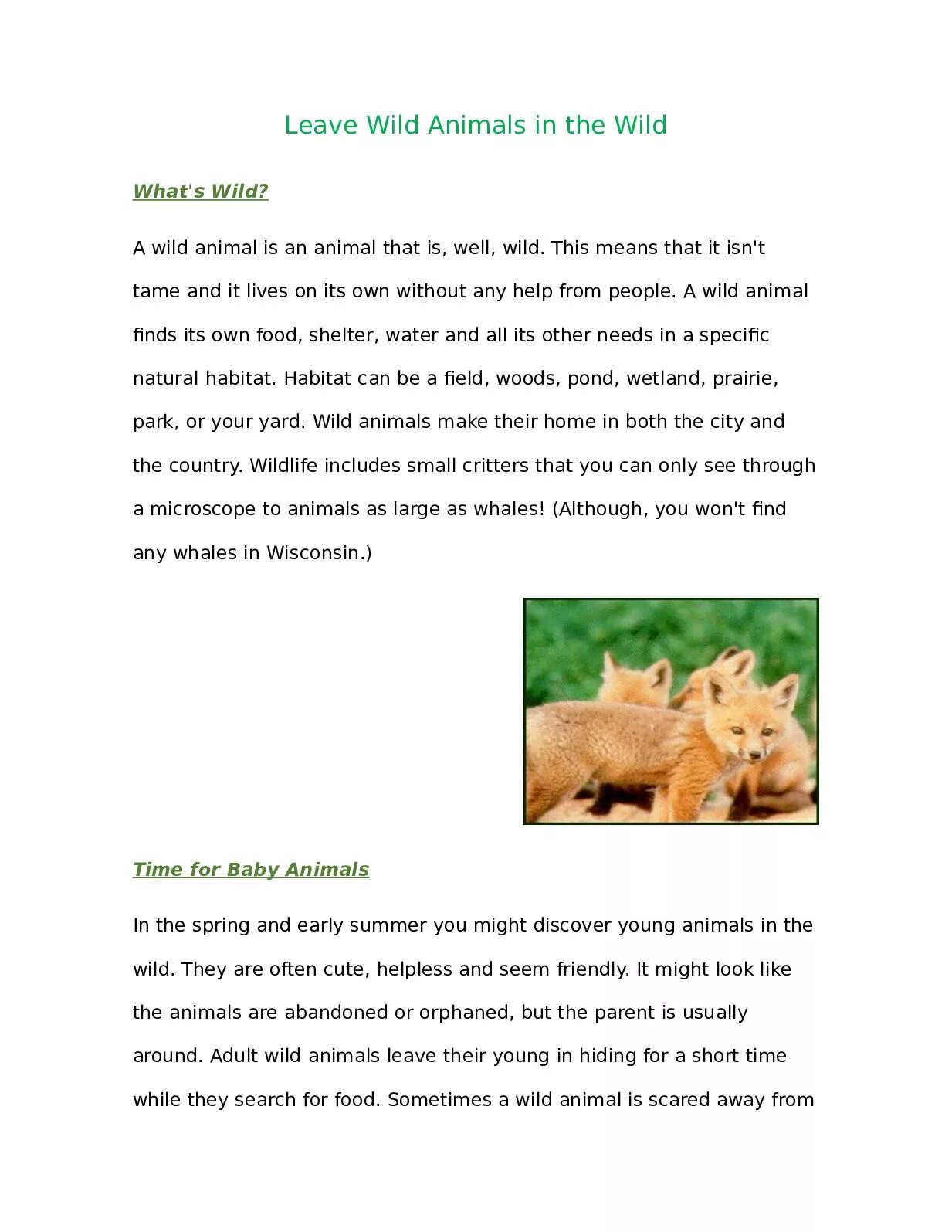 Animal essay. Write a paragraph a Wild animal.