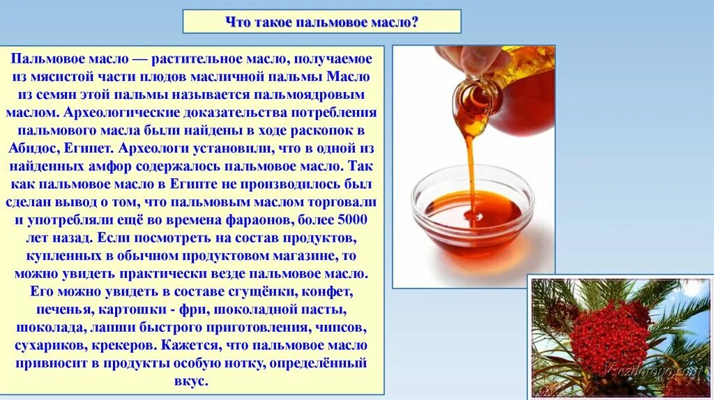 Вреден ли растительное. Пальмовое масло. Пищевое пальмовое масло. Пищевое и техническое пальмовое масло. Пальмовое масло состоит.