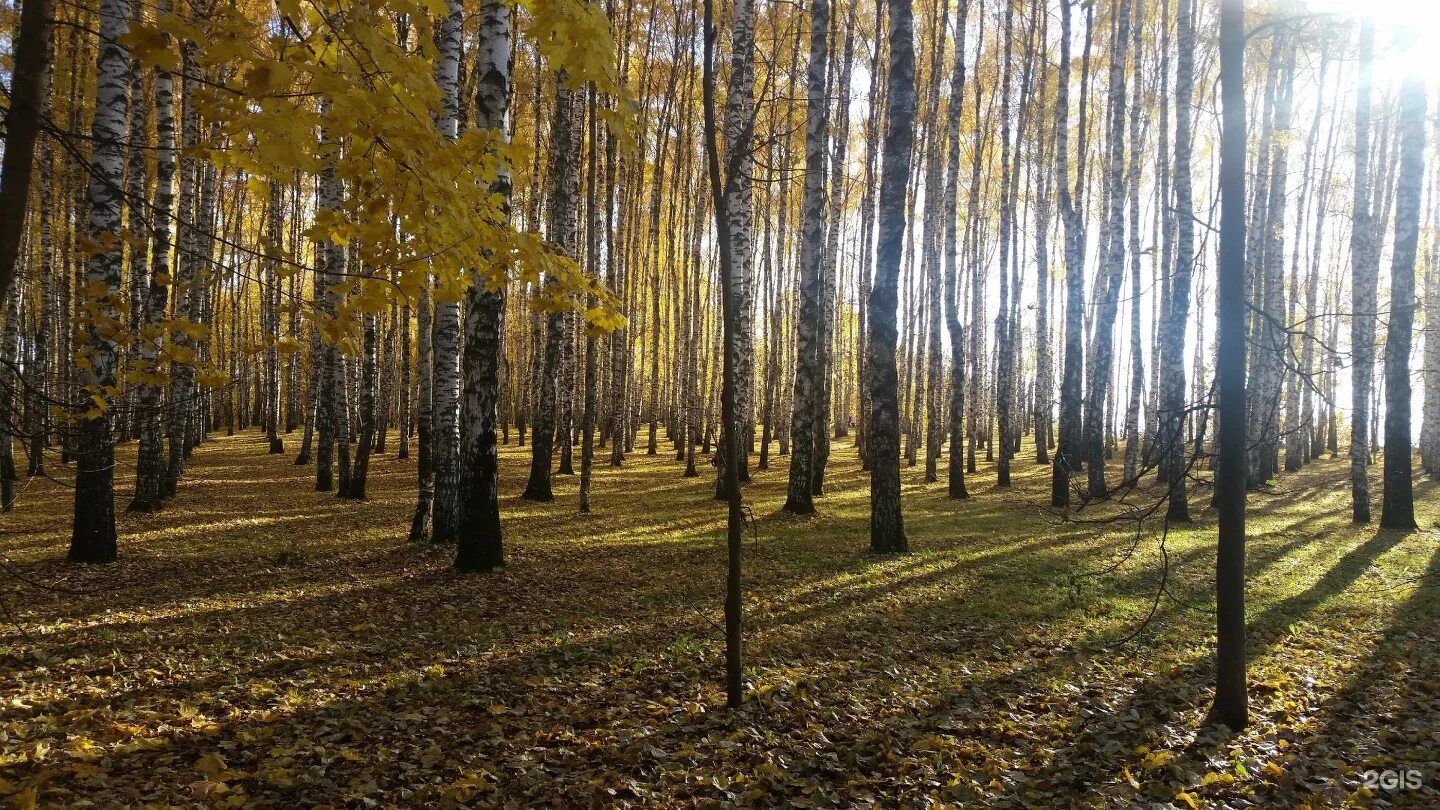 Парк швейцария нижний новгород сайт. Парк Швейцария Нижний. Парк Швейцария Нижний Новгород осенью. Нижний Новгород парк Швейцария парк Швейцария. Парк Швейцария Нижний Новгород зма.