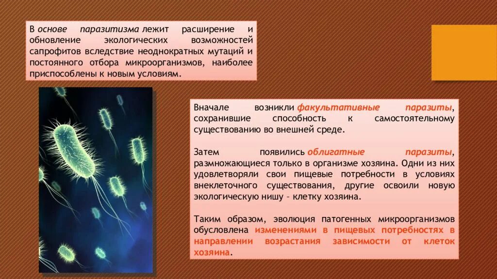 Патогенные условно патогенные сапрофиты