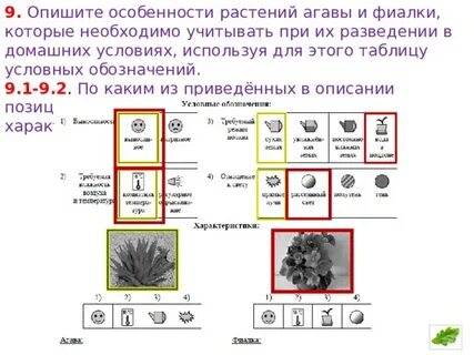 Растения по разному относятся к свету теплу