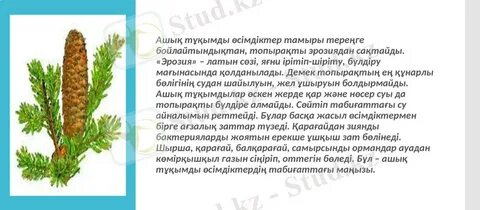 Үлкен мүшесі және киска порносының фотосы