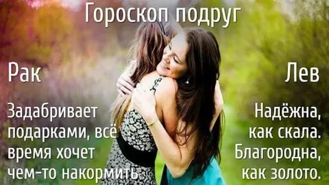 Дружба зз
