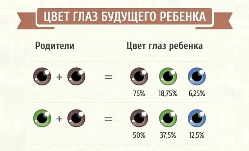 Папа карие глаза мама зеленые. Цвет глаз будущего ребенка. Цвет глаз родителей и детей. Сочетание глаз родителей и детей. Цвет глаз родителей и детей таблица.