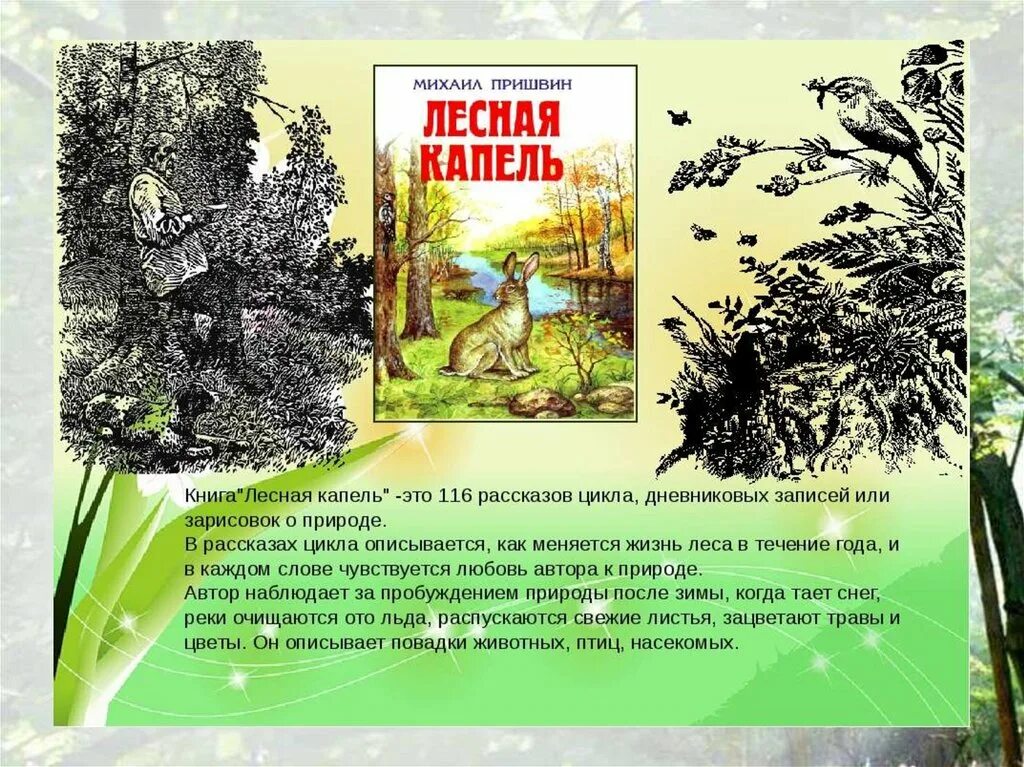 Найти рассказ м. «Лесной капели» м.м. Пришвина. М М пришвин Лесная капель. М.М пришвин произведения Лесная капель.