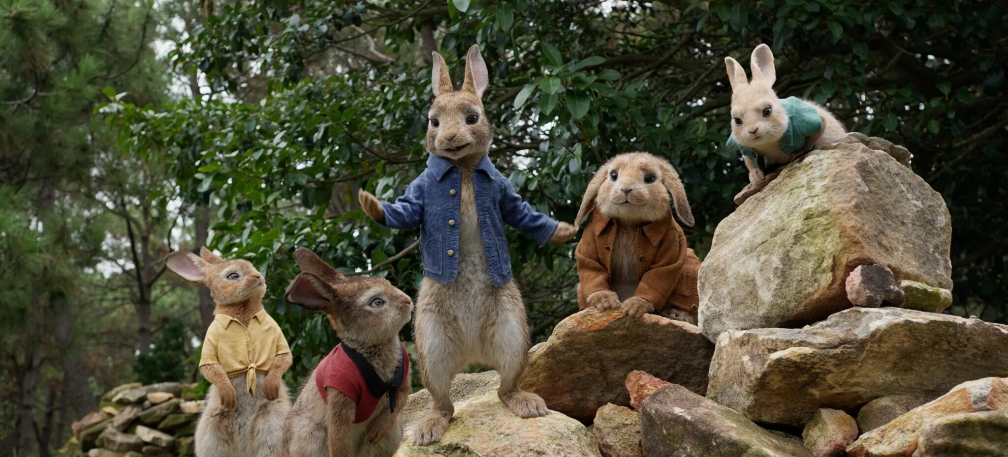 Rabbit movie. Кролик Питер (2018) Peter Rabbit. Флопси кролик Питер.