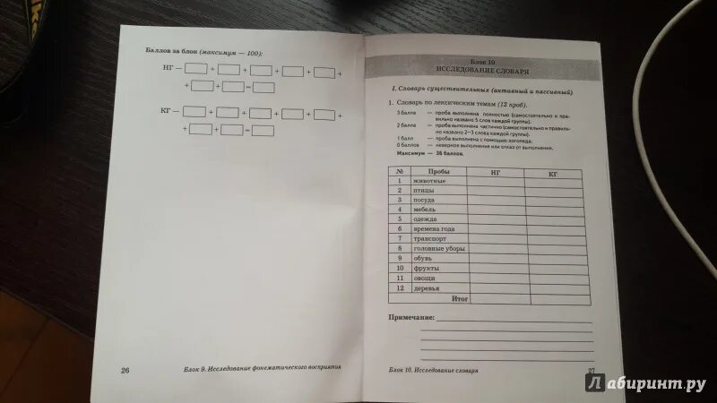Е в мазанова обследование речи. Е в мазанова обследование речи