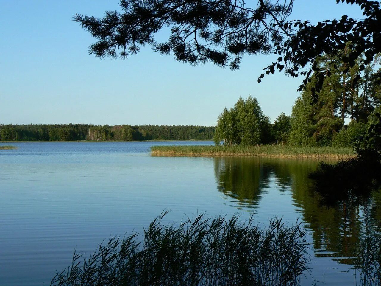 Озеро Западное Южский район. Святое Тумботинское озеро. Святое Тумботинское озеро Нижегородская область. Озеро Дедово Навашинский район. Добромысли