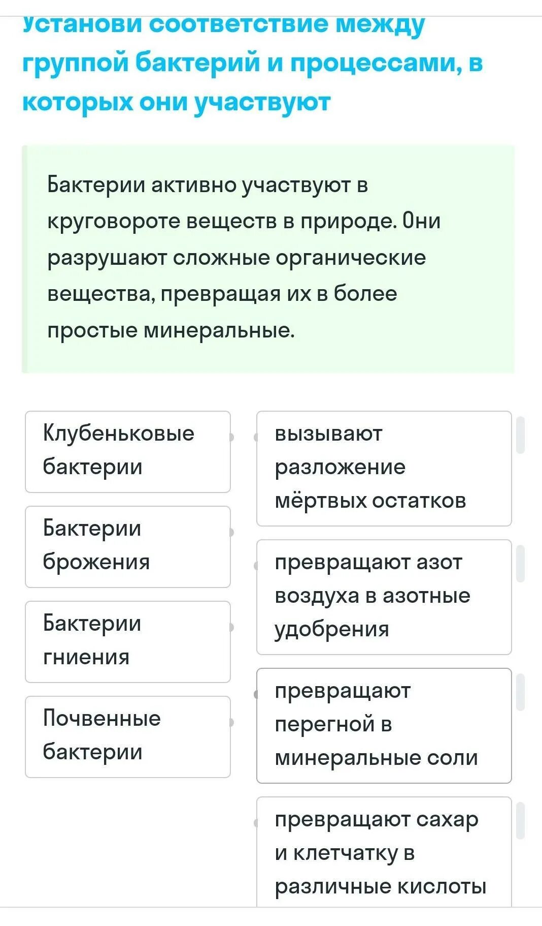 Установи соответствие между группами бактерий. Определите процессы в которых принимали участие бактерии.