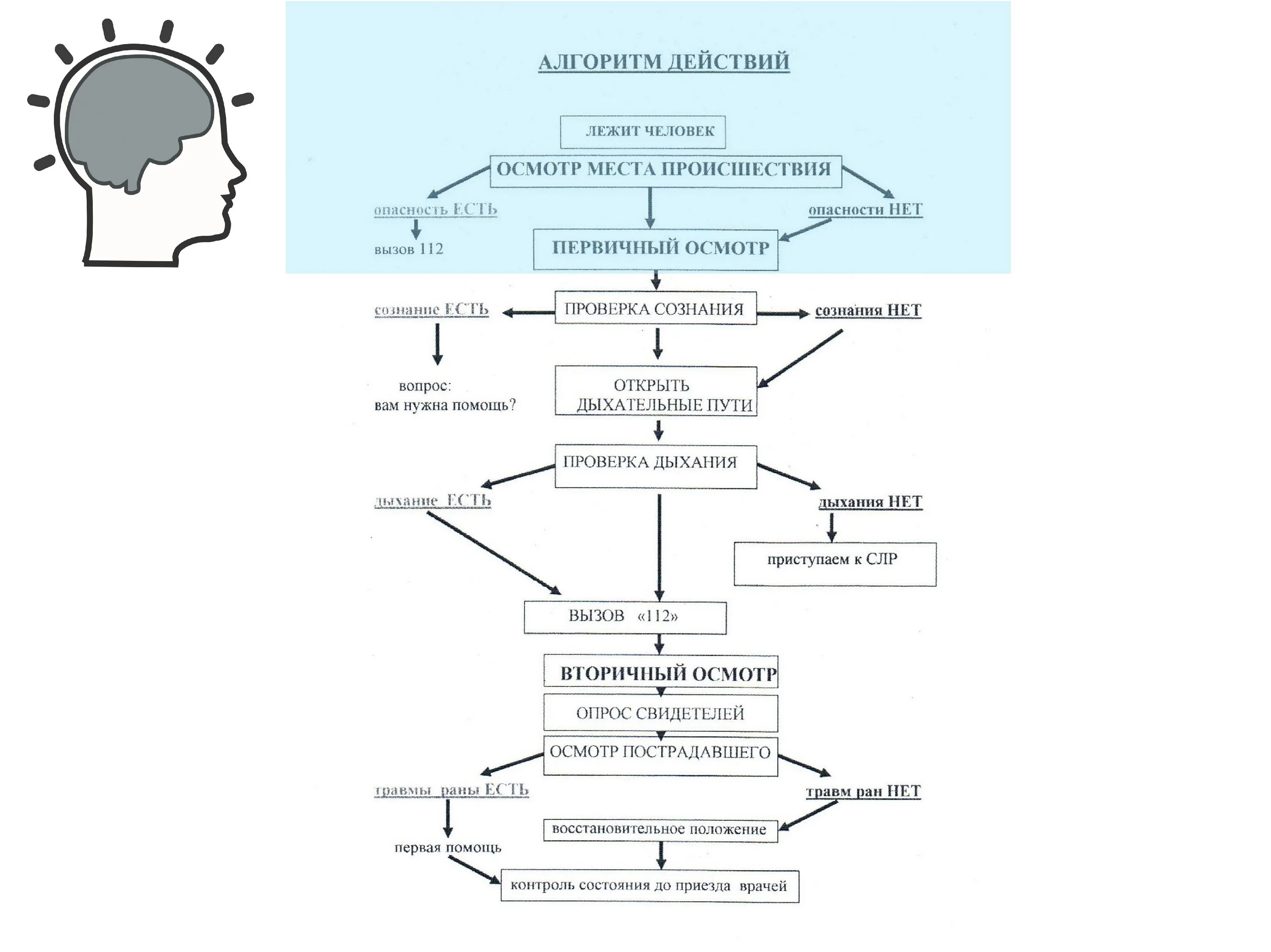Алгоритм действий. Алгоритм действий политического лидера. Алгоритм действий при осмотре места пожара криминалистика. Составление алгоритма действий политического лидера. Алгоритм действий телефона
