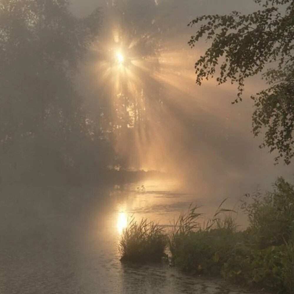 Рассвет туман. Утренний пейзаж. Утренний туман. Туман на реке.