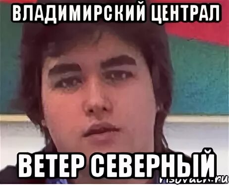 Владимирский централ ветер Северный ветер Северный. Владимирский централ ветер. Убью родных убью друзей Мем. Владимирский централ ветер Северный Мем. Централ ветер северный слушать