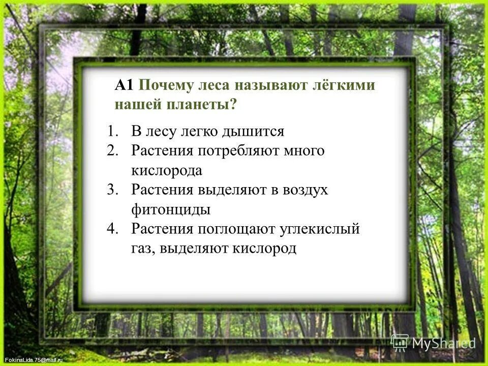 Почему лес называют сообществом окружающий мир. Почему леса называют легкими. Почему леса называют лёгкими нашей планеты. Почему лес называют лесом. Почему растение назвали.