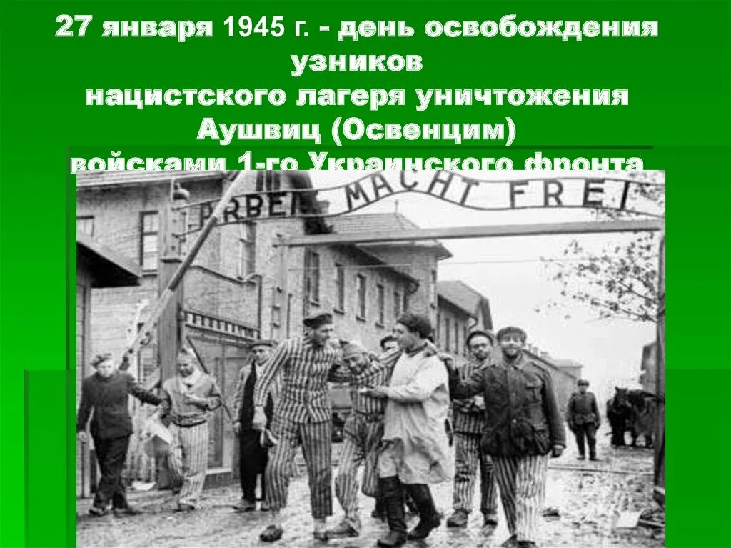 Освобождение лагеря смерти. 27 Января 1945 освобождение концлагеря Освенцим. Освобождение узников Освенцима 1945. Освобождение узников лагеря Аушвиц. 27 Января Освенцим освобождение.