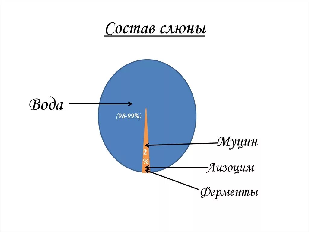 Структура слюны. Структура муцина слюны. Муцин слюны строение. Состав слюны муцин.