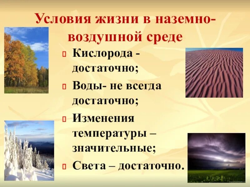Условия наземной среды обитания. Условия наземно-воздушной среды обитания. условия жизни в наземно воздушной среде. земно-воздушно среда жизни. условия надземновоздушной среды.