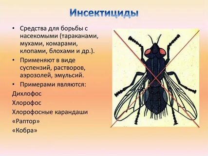 Одежда защиты насекомых