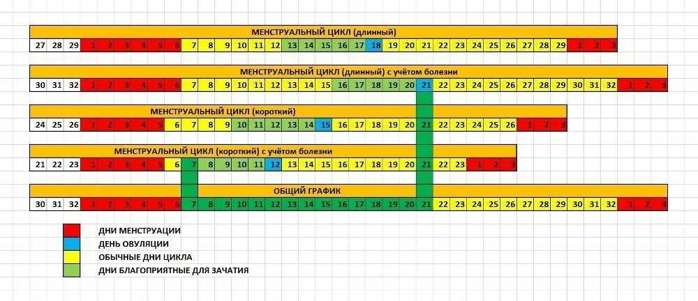 Может ли в день зачатия