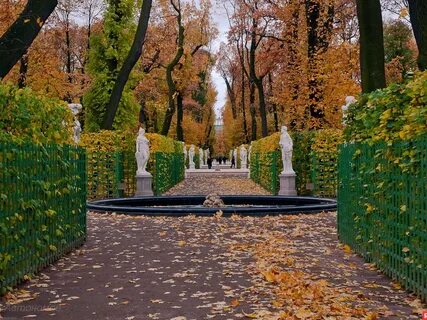 Аллея летнего сада