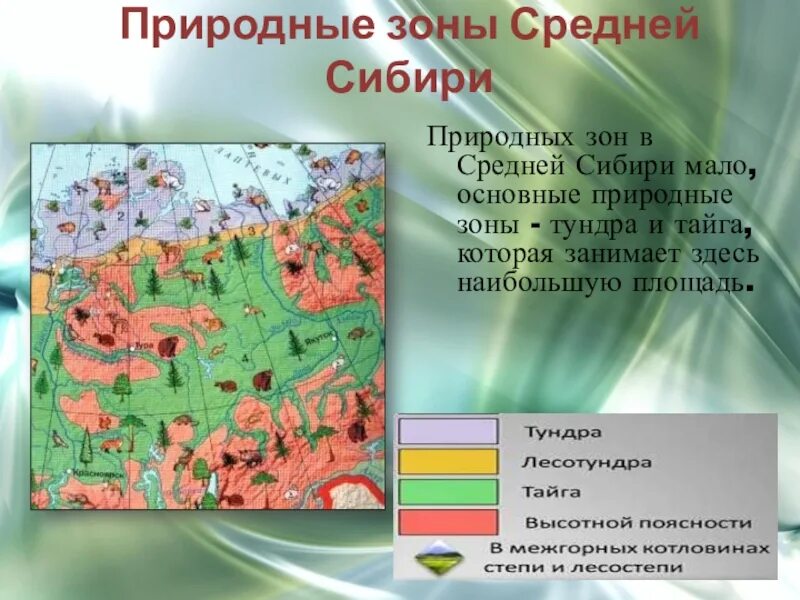 Урок географии 9 класс сибирь географическое положение. Природные зоны средней Сибири. Природные зоны средней Сибири 8 класс. Средняя Сибирь географическое положение. Природные зоны средней Сибири Тайга.