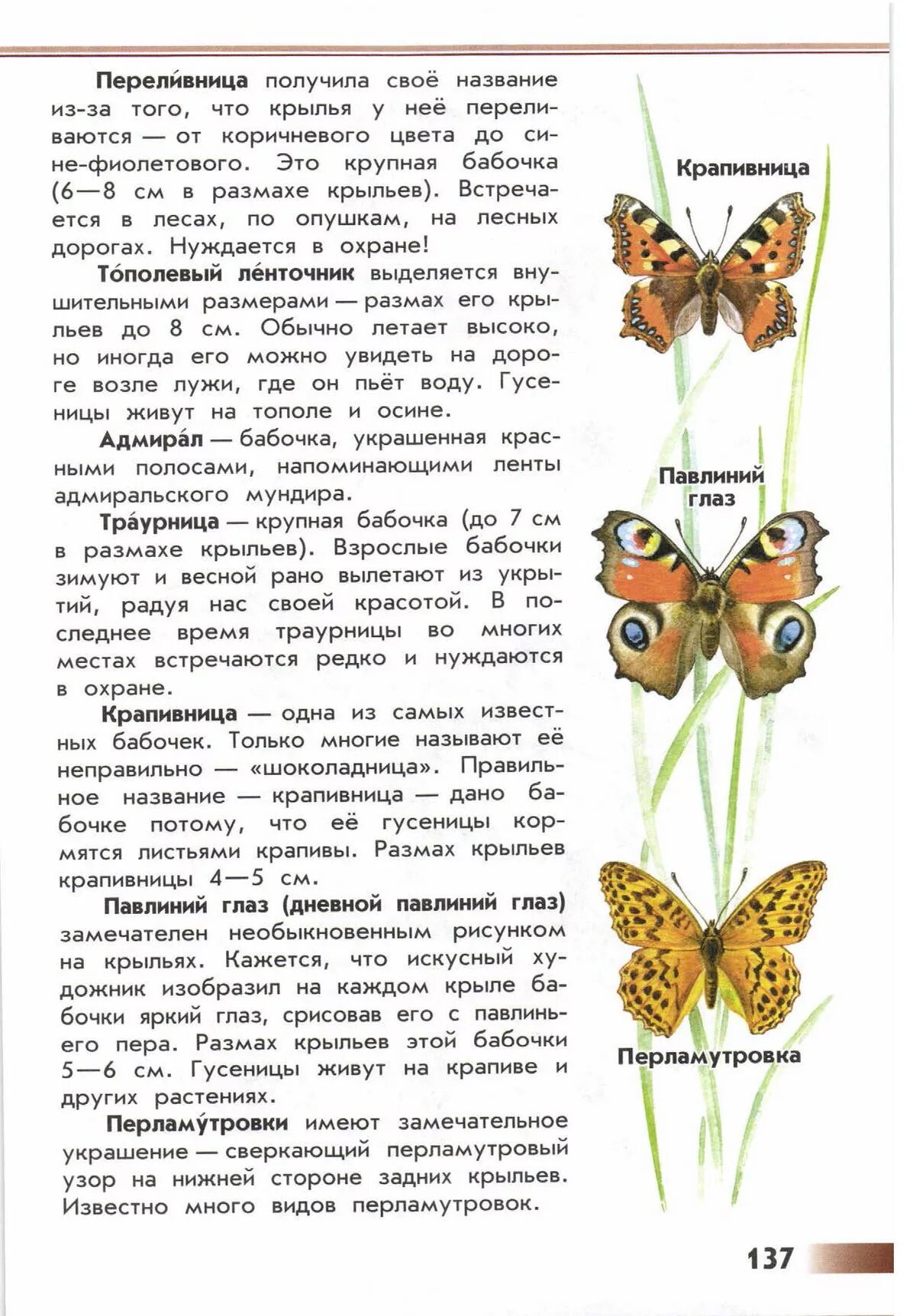 Атлас-определитель 2 класс окружающий мир насекомые бабочки. Атлас-определитель 2 класс окружающий мир насекомые. Дневные бабочки атлас определитель. Атлас-определитель от земли до неба 2 бабочки. Книга зеленые страницы первые бабочки