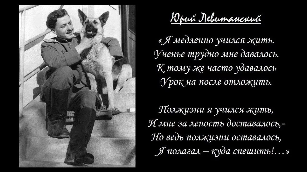 Стихотворение левитанского о войне. Левитанский стихи. Стихотворения Юрия Левитанского.