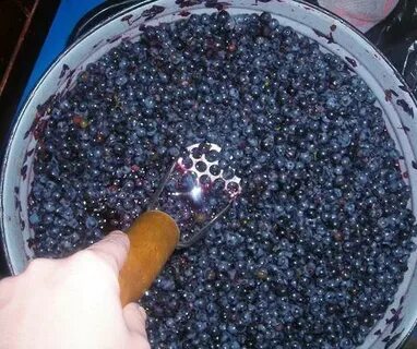30 кг винограда