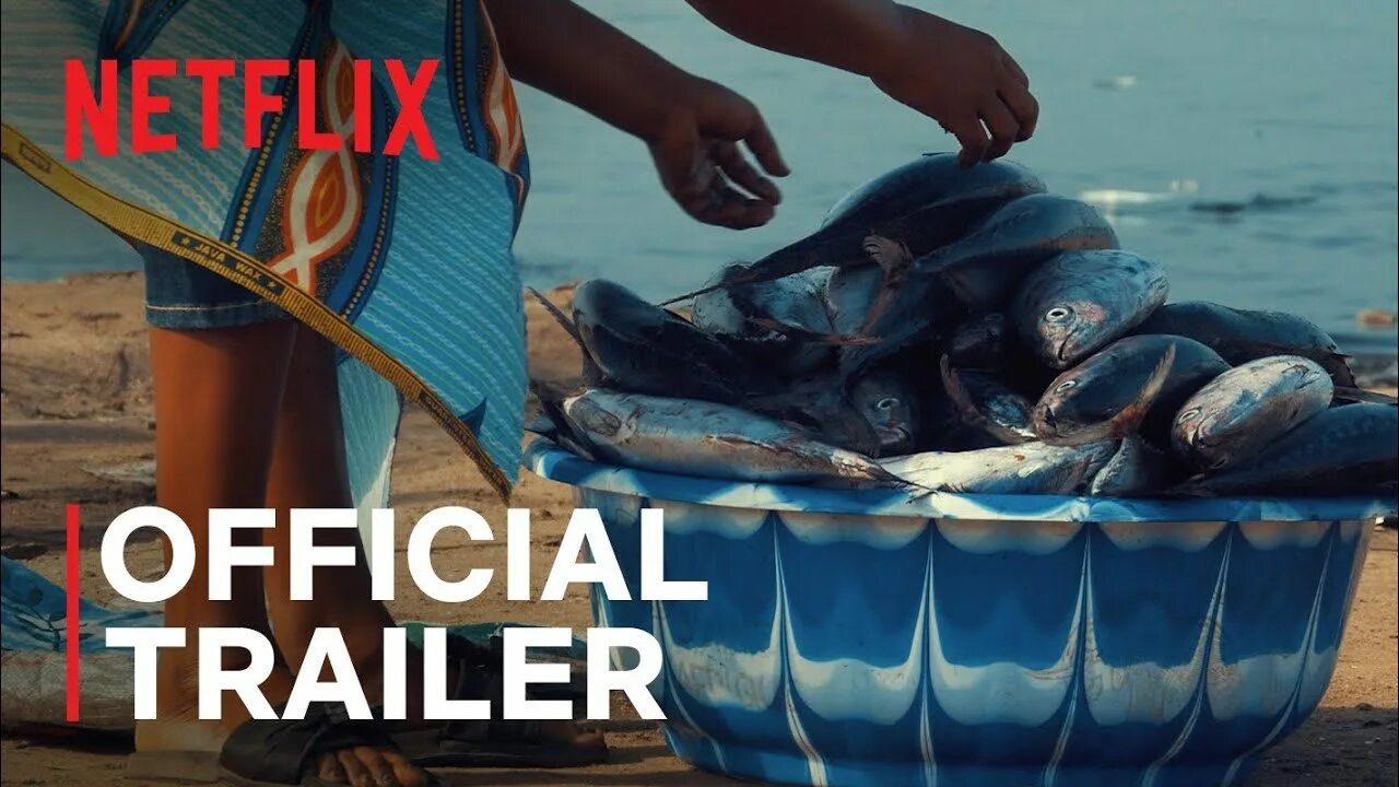 Рыболовство и аквакультура натальино. Seaspiracy netflix. Рыбный промысел в арктике. Устойчивого рыболовства. Seaspiracy фильм.