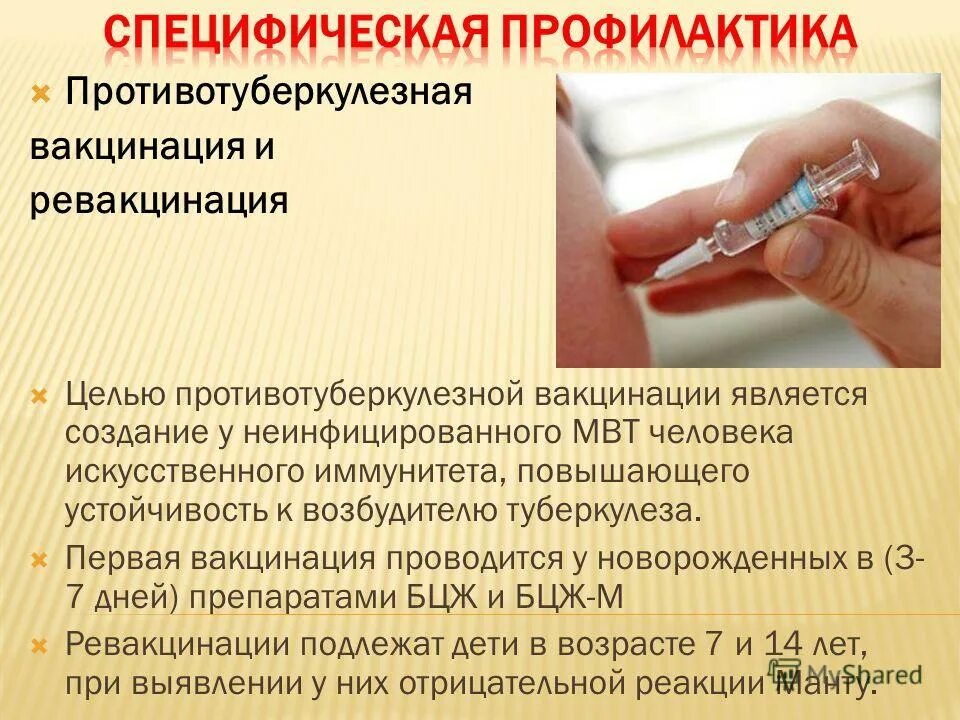 Противотуберкулезная прививка. Противотуберкулезная вакцинация проводится. Прививки против туберкулеза. Противотуберкулезная вакцина ревакцинация.