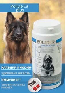 Поливит