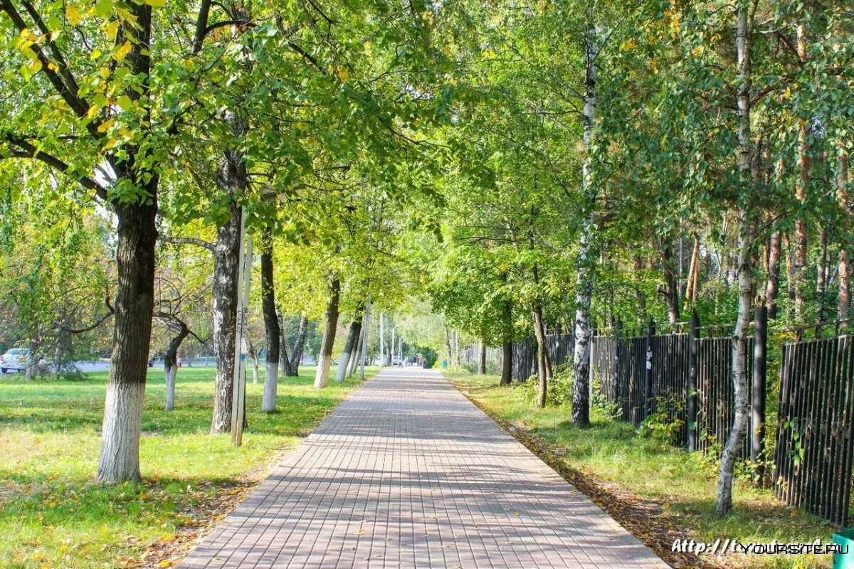 Город выкса улицы. Нижегородская область г. Выкса парк. Город Выкса парк. Парк Выкса достопримечательности. Липовая аллея Выксунского парка.