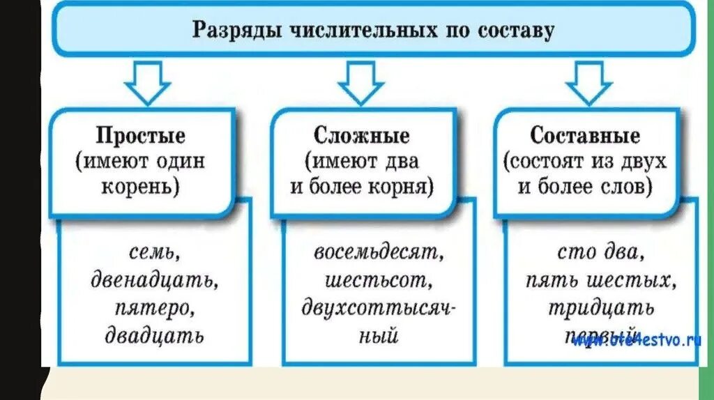 На какие две группы делятся имена. Разряды числительных. Виды числительных. Числительные структура. Презентация числительные.