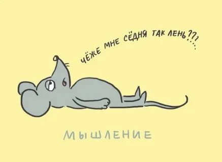 Холить